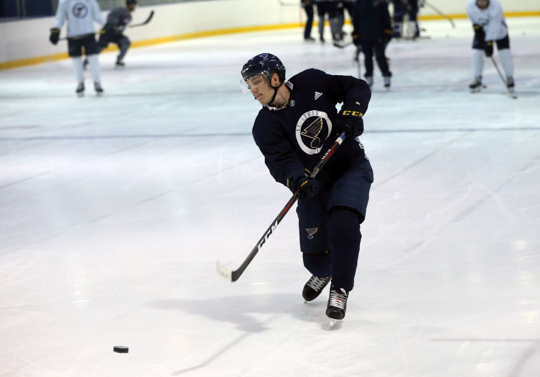 St. Louis Blues 2018-19 training camp
